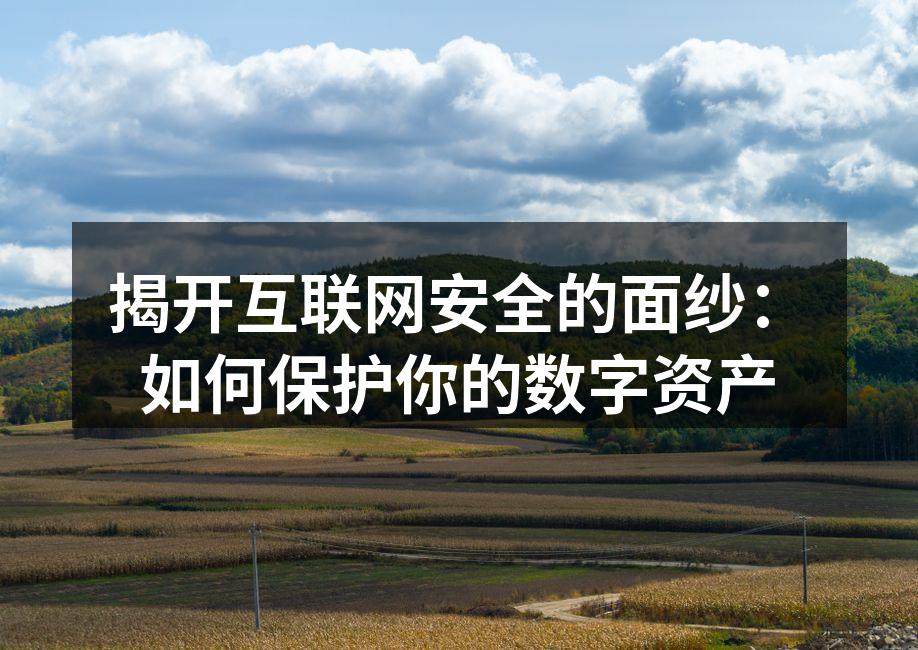 揭开互联网安全的面纱：如何保护你的数字资