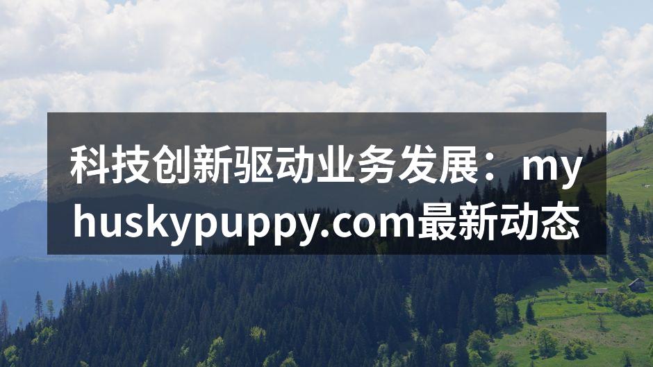 科技创新驱动业务发展：myhuskypu